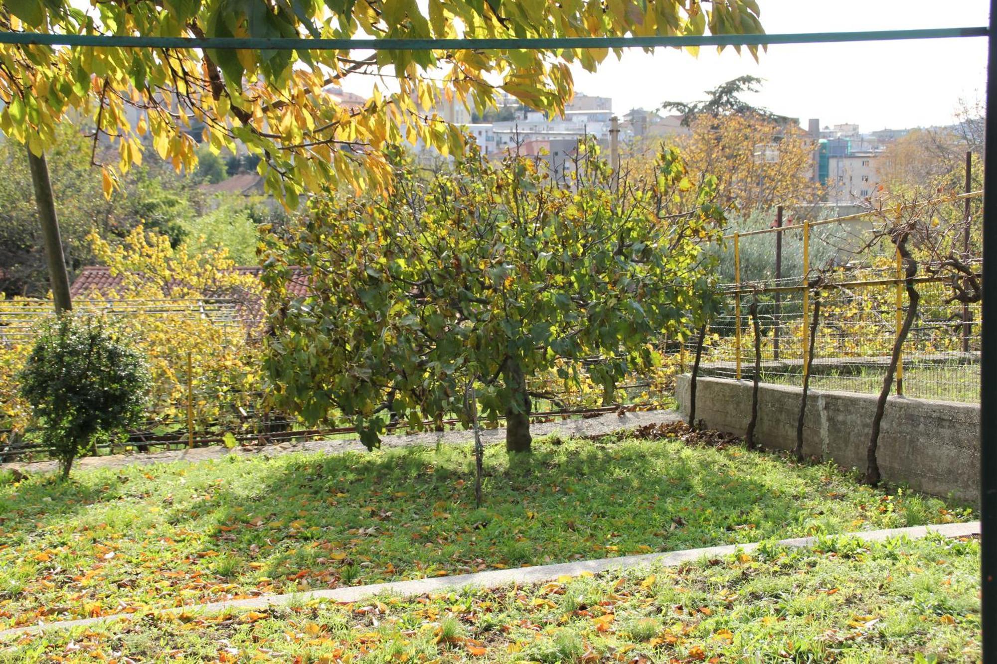 Villa Il Gelsomino Trieste Exterior foto