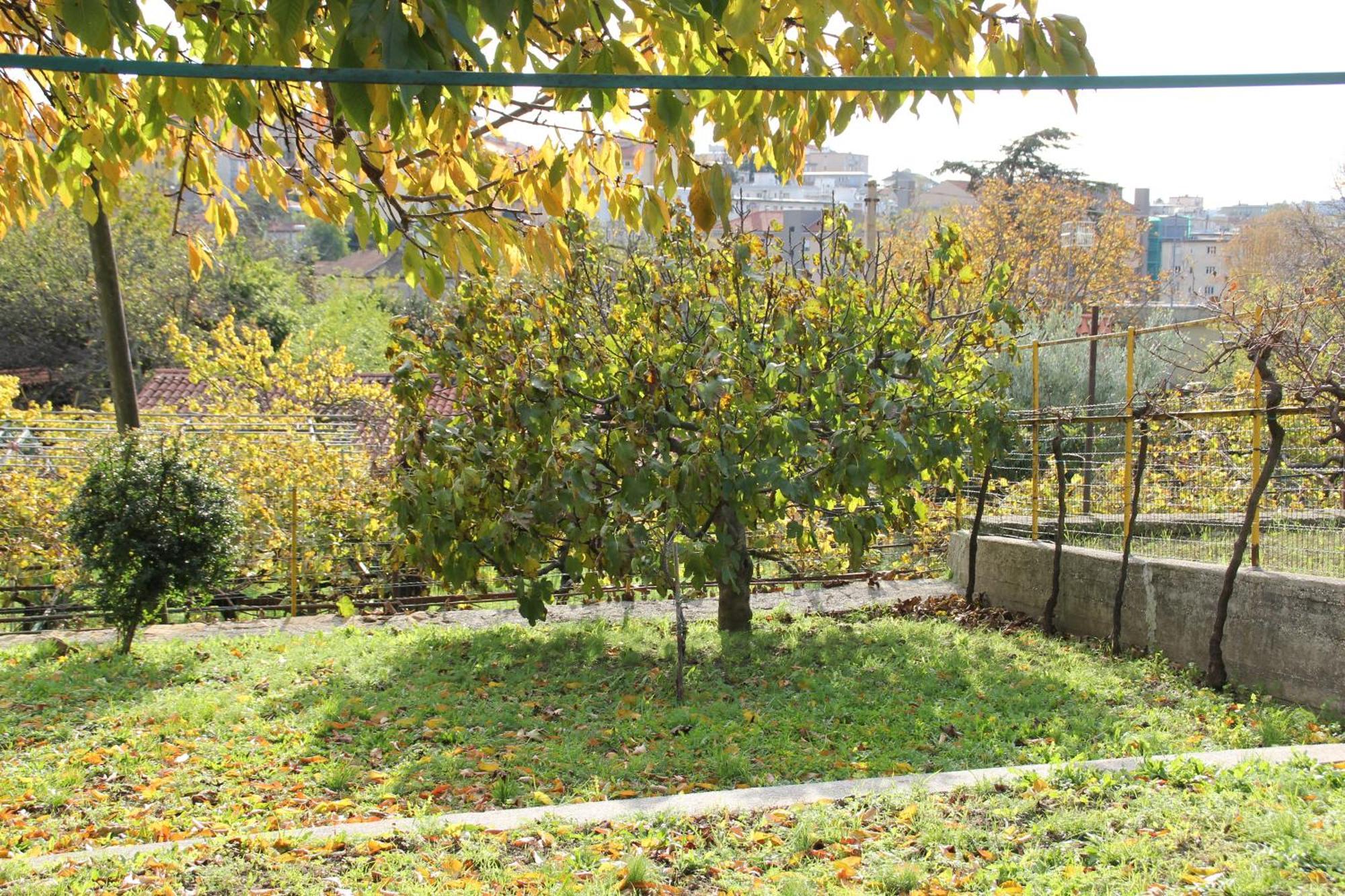 Villa Il Gelsomino Trieste Exterior foto